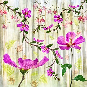 Hibiscus-Japandi II