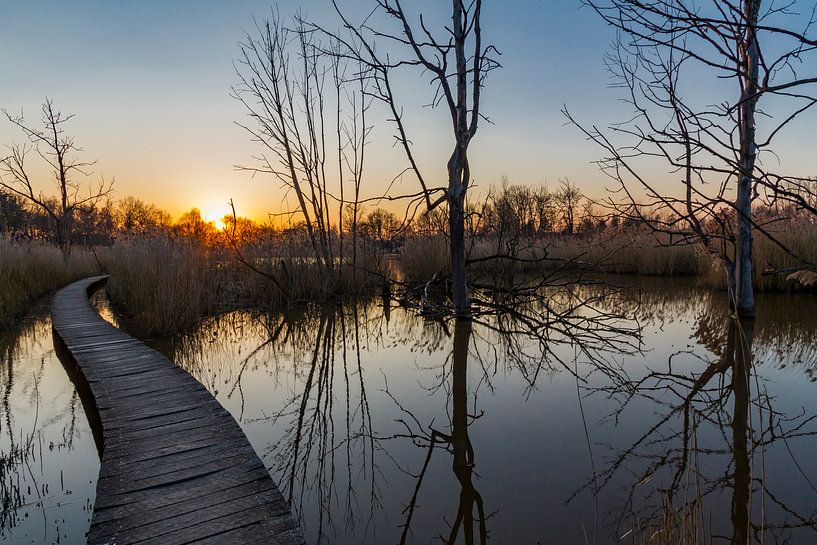 Wandelpad in Het Vinne, zonsondergang in Zoutleeuw van Easycopters
