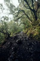 Madeira