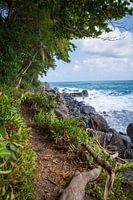 Côte sauvage de Capurganá Colombie