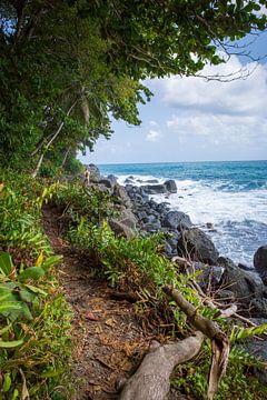 Rugged coastline at Capurganá Colombia by Sonja Hogenboom