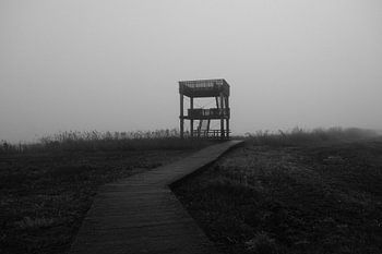 Une tour d'observation dans la brume