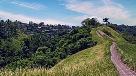 Ubud walk by Pixturalist