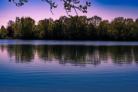 Reliqua sur Photoart-Naegele