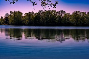 Reliqua van Photoart-Naegele