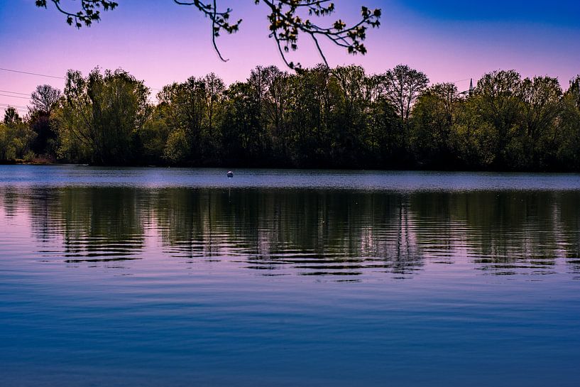 Reliqua van Photoart-Naegele