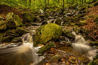 Watervallen in de Ardennen van Bert Beckers thumbnail