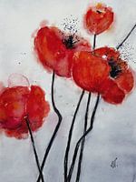 Poppy Schilderij - Red Poppy