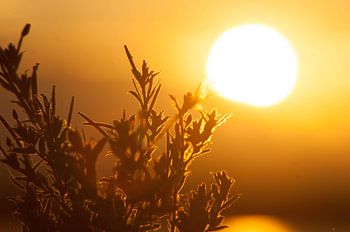 Sonnenuntergang am See