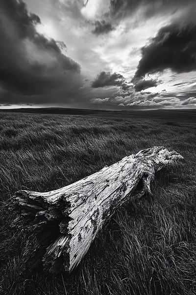 Dramatic black-and-white landscape nature by Imperial Art House