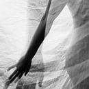Velvet fine art nude photography series by Marieke Feenstra thumbnail