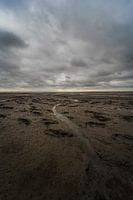 Wattenmeer