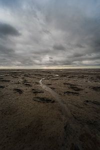 Wadden Sea by Rene scheuneman