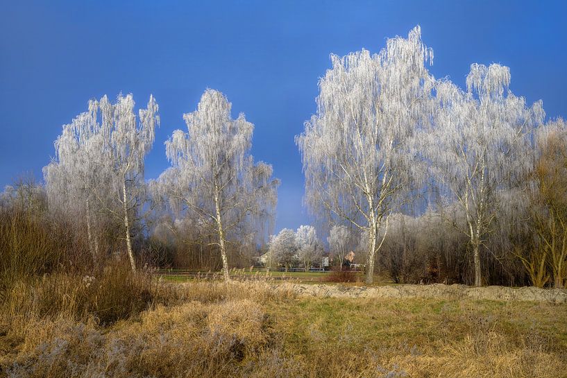 Briken covered in hoarfrost by ManfredFotos