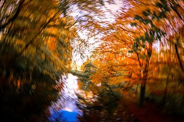 Turning Autum van peterheinspictures