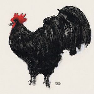 Zwarte Haan
