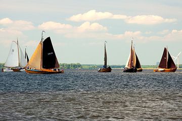 Botters zeilend op Het Meer