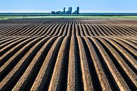 Landbouwgrond in het noorden van Friesland vlak onder de Noordzeedijk van Harrie Muis thumbnail