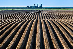 Landbouwgrond in het noorden van Friesland vlak onder de Noordzeedijk