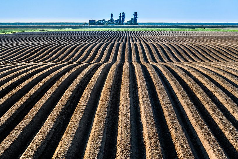 Landbouwgrond in het noorden van Friesland vlak onder de Noordzeedijk van Harrie Muis