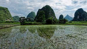 Karstlandschap met rijstvelden in Guilin, China van x imageditor
