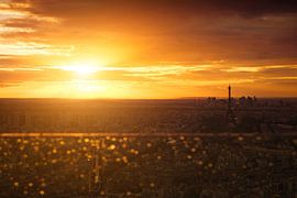 Skyline auf dem Eiffelturm, Paris von Yannick Lefevre