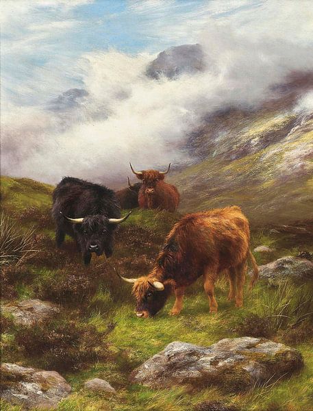Highland Cattle Grazing by Antonije Lazovic