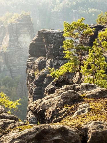 Bärenhornaussicht in der Sächsischen Schweiz - Blick auf das Kleine Bärenhorn von Pixelwerk
