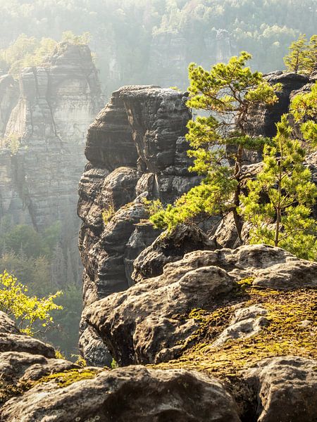 Bärenhornaussicht in der Sächsischen Schweiz - Blick auf das Kleine Bärenhorn von Pixelwerk