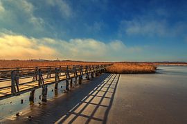 BADEN-WÜRTTEMBERG : BAD BUCHAU - FEDERSEESTEG by Photoart-Naegele