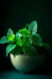 Plante de menthe décorative sur Poster Art Shop