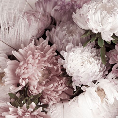 bouquet of asters by arjan doornbos