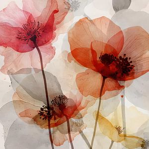 Wilder Mohn