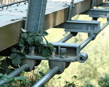 Geierlay suspension bridge, Germany by Eugenio Eijck