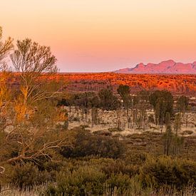 Outback Australia - Kata Tjuta au Centre Rouge sur Thorsten Bartberger