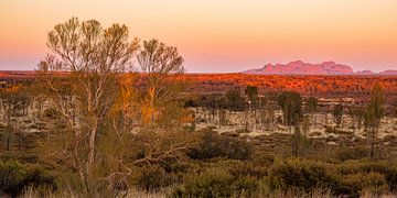 Outback Australia - Kata Tjuta in the Red Centre by Thorsten Bartberger