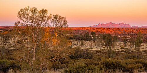 Outback Australien - Kata Tjuta im Red Centre