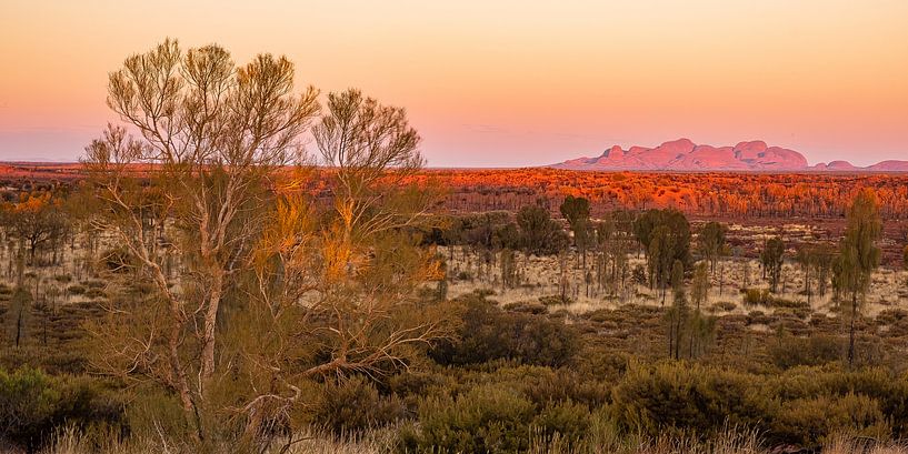 Outback Australië - Kata Tjuta in het Rode Centrum van Thorsten Bartberger