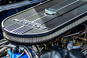 Automobile : Ford power