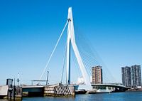 Erasmusburg Rotterdam