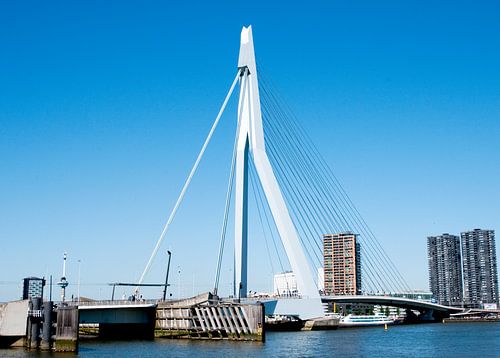 Erasmusburg Rotterdam