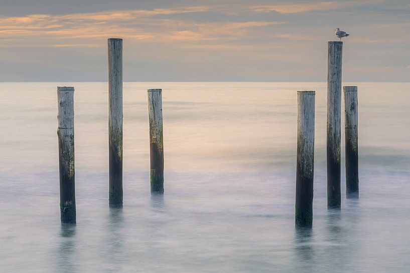 Coucher de soleil à Palendorp à Petten, Hollande du Nord par Henk Meijer Photography