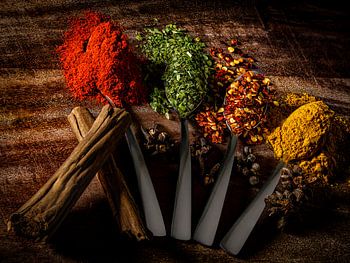 Die Kraft der Kräuter