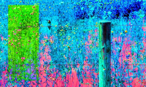 creatieve kleurrijke Zwaluw