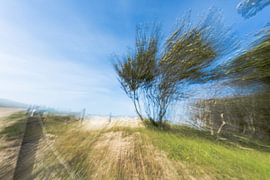 Vom Wind gepeitscht von Beate.fotopassie