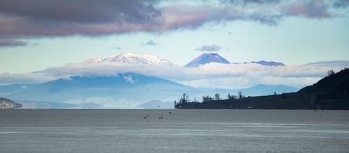 Panorama Tongariro National Park, Nieuw Zeeland