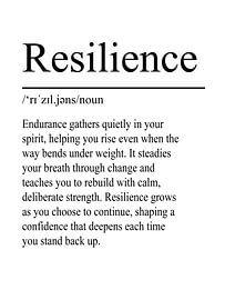 Definitie veerkracht - Wit van WordsThatInspire