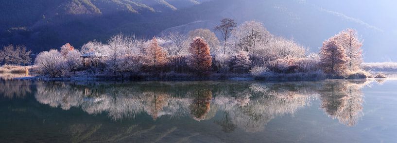 Ice Island by Tiger Seo