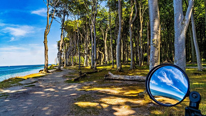 Ostsee Gespensterwald by Johnny Flash