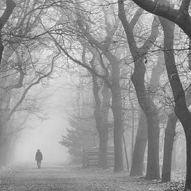 Hiker in the forest by Peter Haastrecht, van